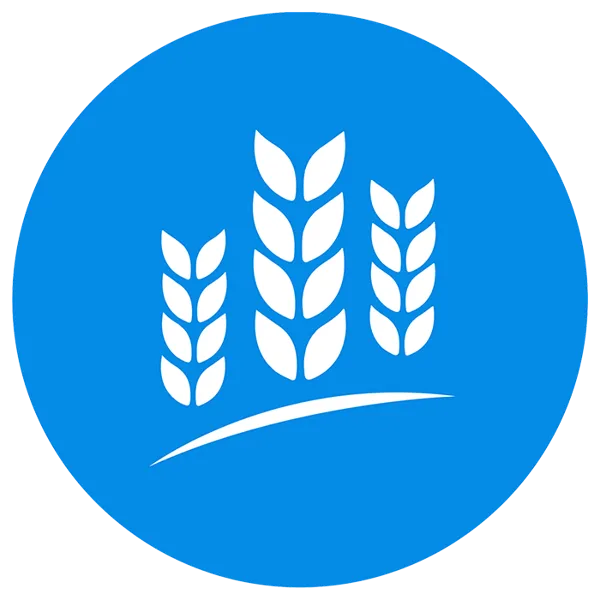 Logo Blue Beit Lechem Messianic Congregation Church in Downey, CA